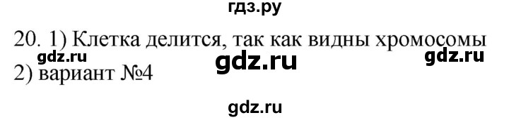 ГДЗ по биологии 8 класс Колесов рабочая тетрадь Человек  задание - 20, Решебник к тетради 2018